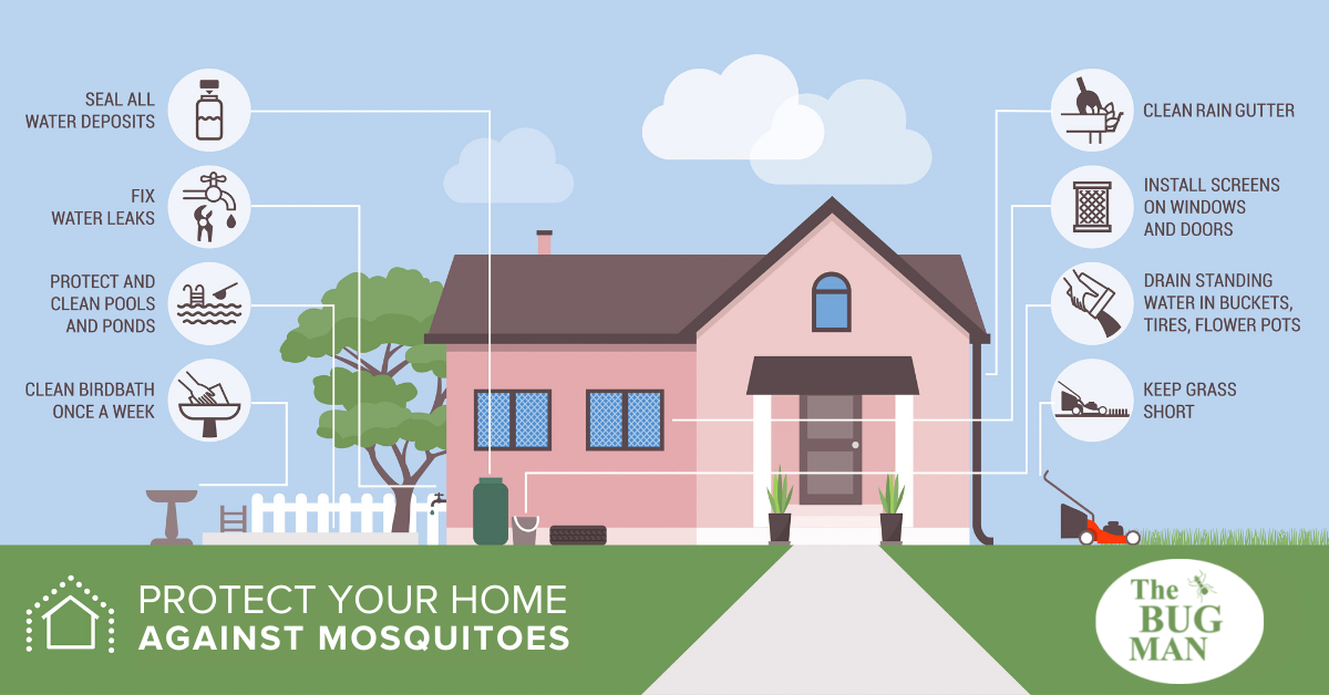 Mosquito prevention infographic - The Bug Man