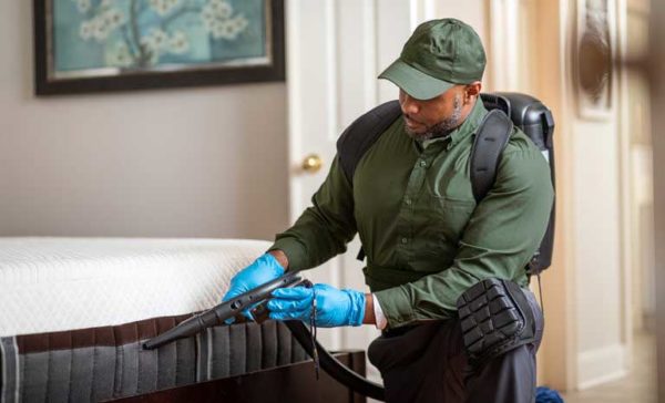 Bed Bug Control in Central TN; The Bug Man