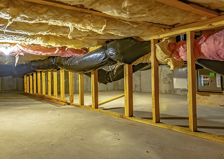 Crawl Space Moisture Control in Tennessee | The Bug Man