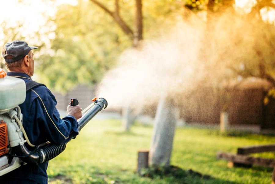 Exterminator spraying pesticides in trees