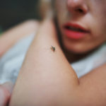 Tips for Reducing Mosquitoes
