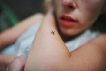 Tips for Reducing Mosquitoes