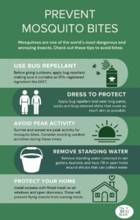 How to prevent mosquitoes in Central TN - The Bug Man