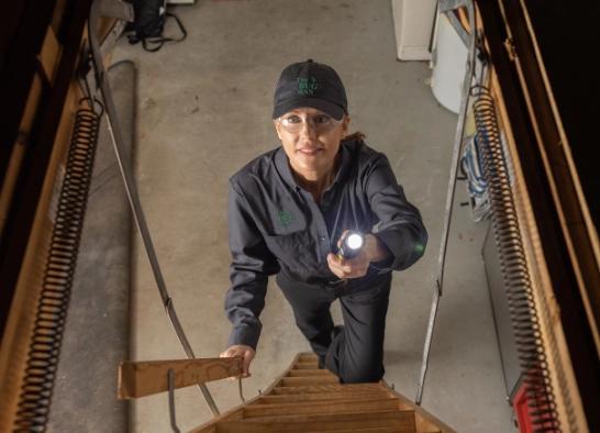 A Bug Man technician climbing attic stairs to perform an inspection for wildlife